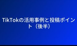 TikTokの活用事例と投稿ポイント（後半）